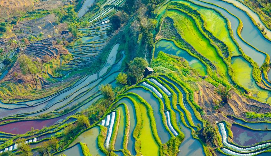 宝妈必备神器：兴化市产品视频拍摄轻松育儿好帮手