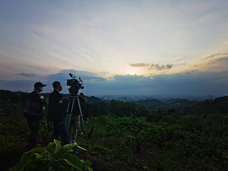 聚焦兴化市产品宣传视频拍摄公司，用专业实力铸就品牌传播传奇