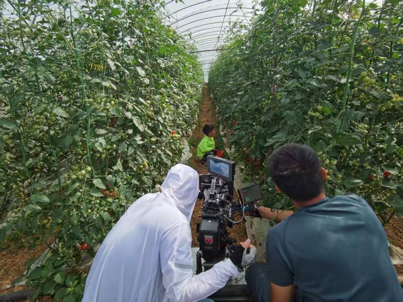 兴化市产品宣传视频拍摄公司进阶指南，助力品牌抢占传播高地